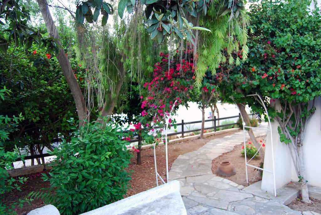 Apartmán Margarita 110 - Newly Renovated Paphos Pokoj fotografie